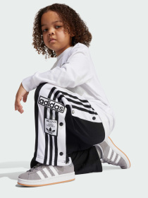 Спортивный костюм Adidas Adicolor модель JX1092 Фото