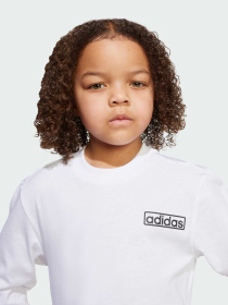 Спортивный костюм Adidas Adicolor модель JX1092 Фото