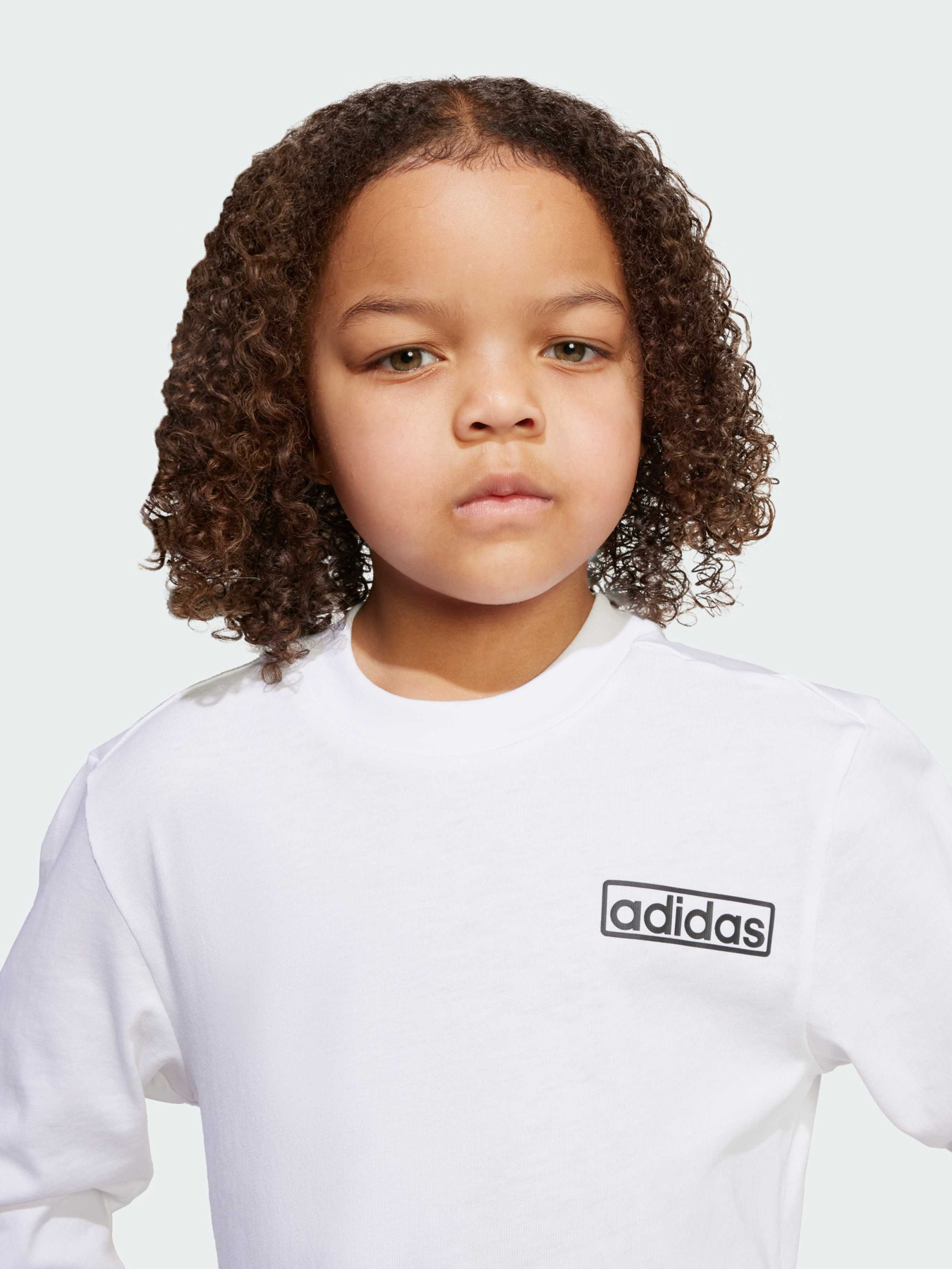 Спортивний костюм Adidas Adicolor модель JX1092 Фото