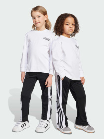 Спортивный костюм Adidas Adicolor модель JX1092 Фото