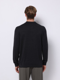 Джемпер Colin’s модель CL1076070_Q1.V1_ANM Фото