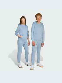 Брюки Adidas модель JX2743-KZ Фото