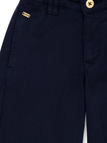 Штани повсякденні US Polo модель G084SZ078.000.1678451.VR033 Фото