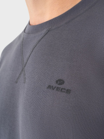 Спортивна кофта AVECS модель 50513-94 Фото