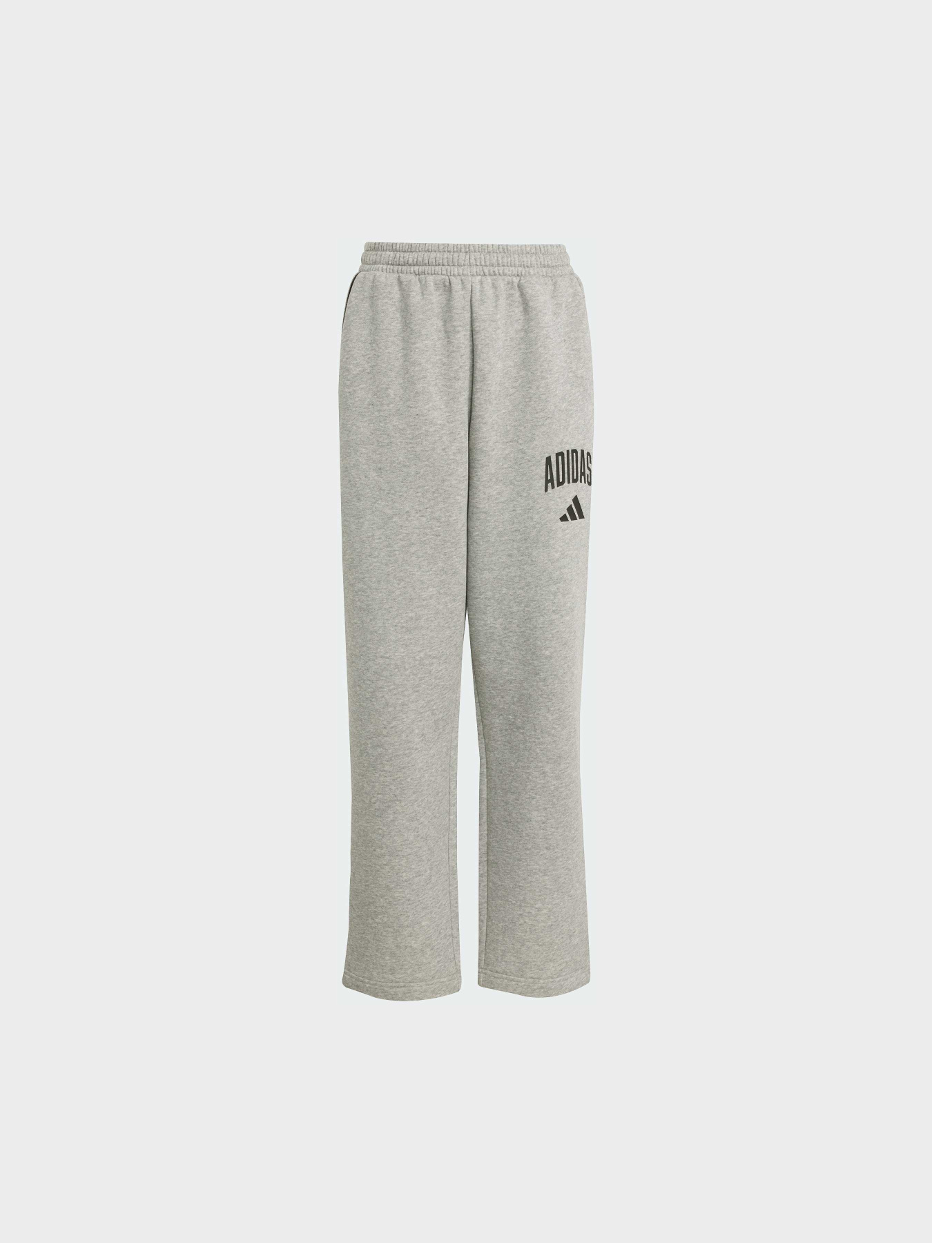 Брюки повседневные Adidas модель JW2386 Фото