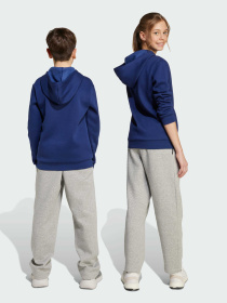 Брюки повседневные Adidas модель JW2386 Фото