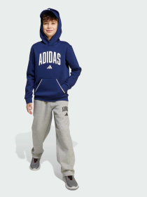 Брюки повседневные Adidas модель JW2386 Фото