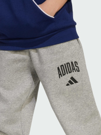 Брюки повседневные Adidas модель JW2386 Фото