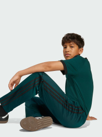 Штани повсякденні Adidas Adicolor модель JV8593 Фото