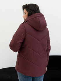 Демісезонна куртка UVENTUM модель 00431-4-mt Фото