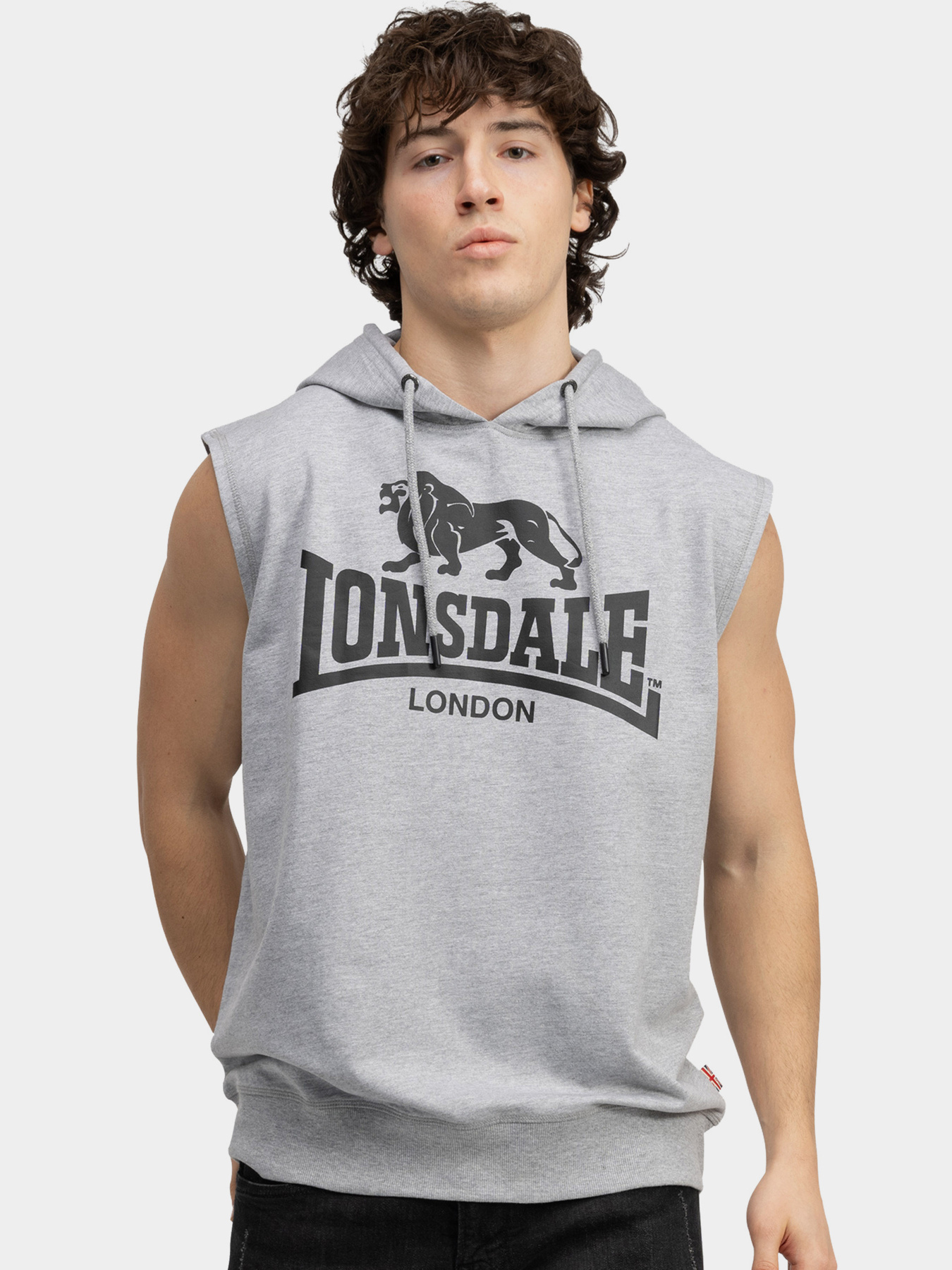 Футболки і поло Lonsdale Bignor модель 117700 Фото