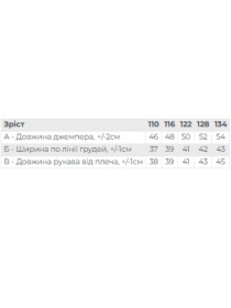 Лонгслів Носи своє модель 6363-036-33-4-1-srij-polin-sprunki Фото