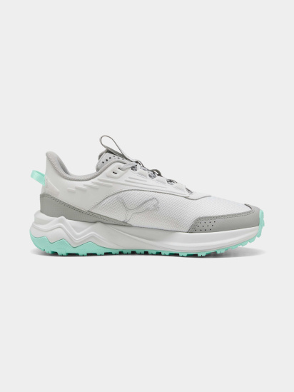 Кросівки для бігу PUMA Extend Lite Trail модель 379538 - фото