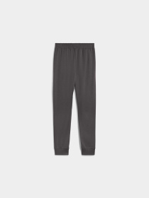 Штаны спортивные PUMA Tech Pants модель 684601 Фото