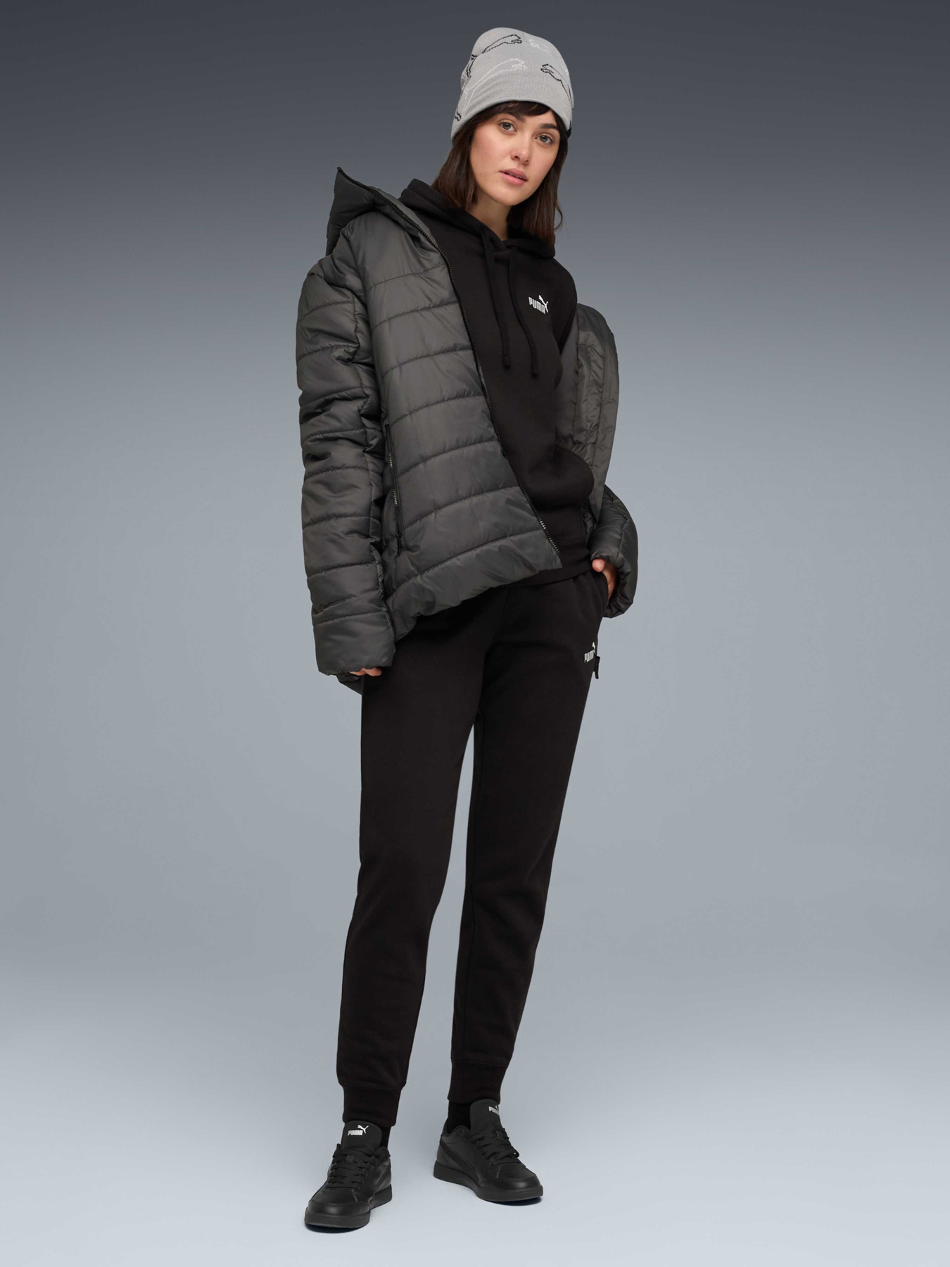 Спортивный костюм PUMA Hooded Sweat Suit модель 688162 Фото