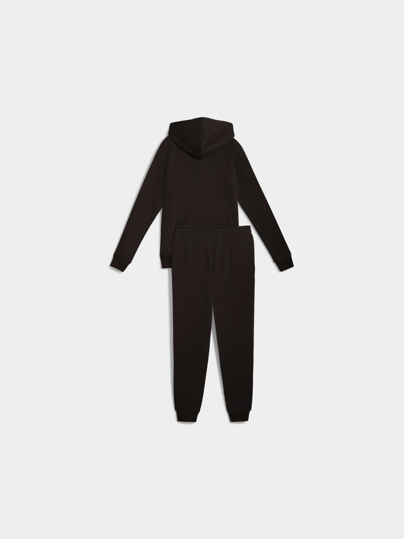 Спортивный костюм PUMA Full-zip Hooded Sweat Suit модель 690738 Фото