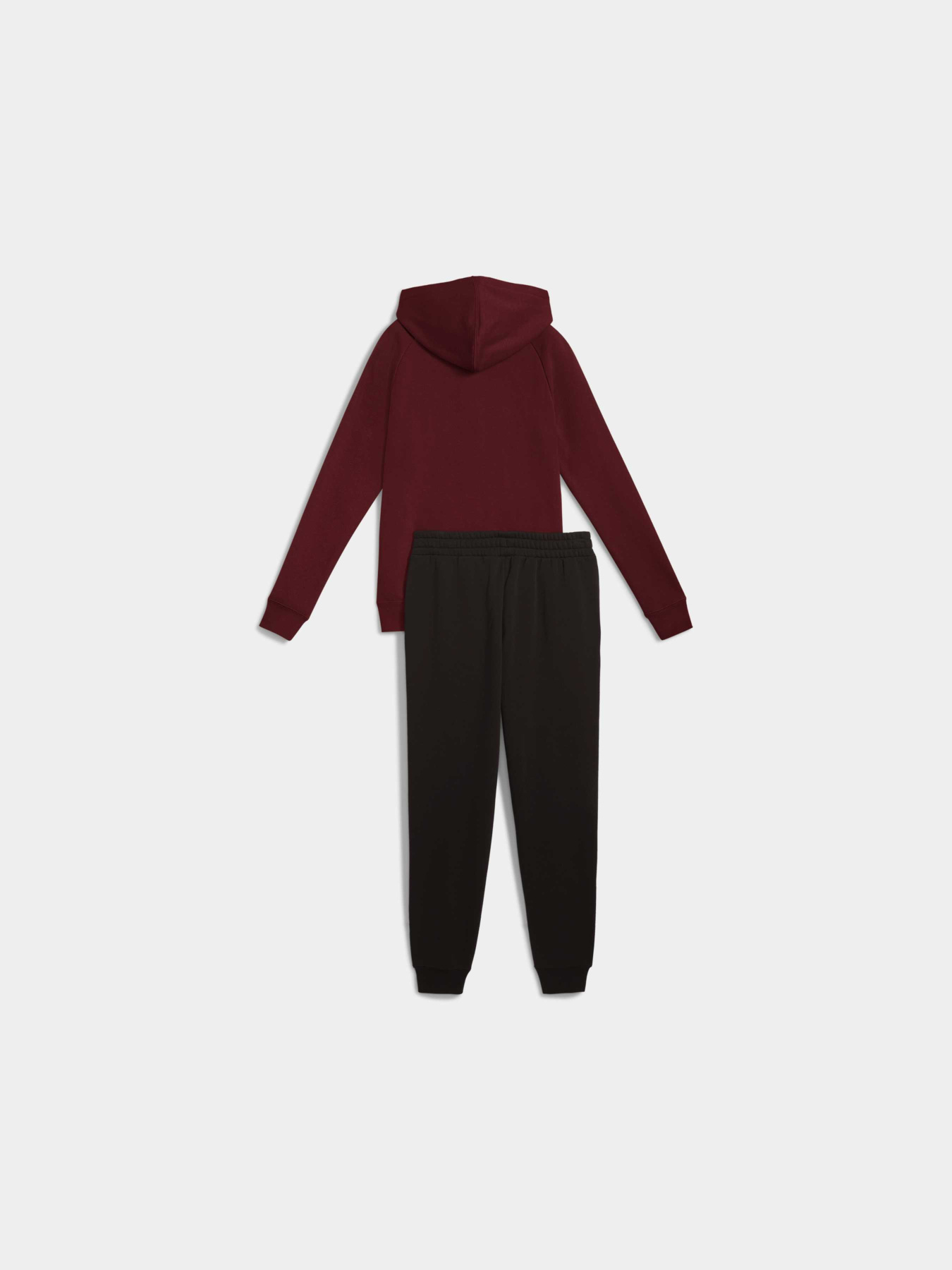 Спортивний костюм PUMA Full-zip Hooded Sweat Suit модель 690738 Фото