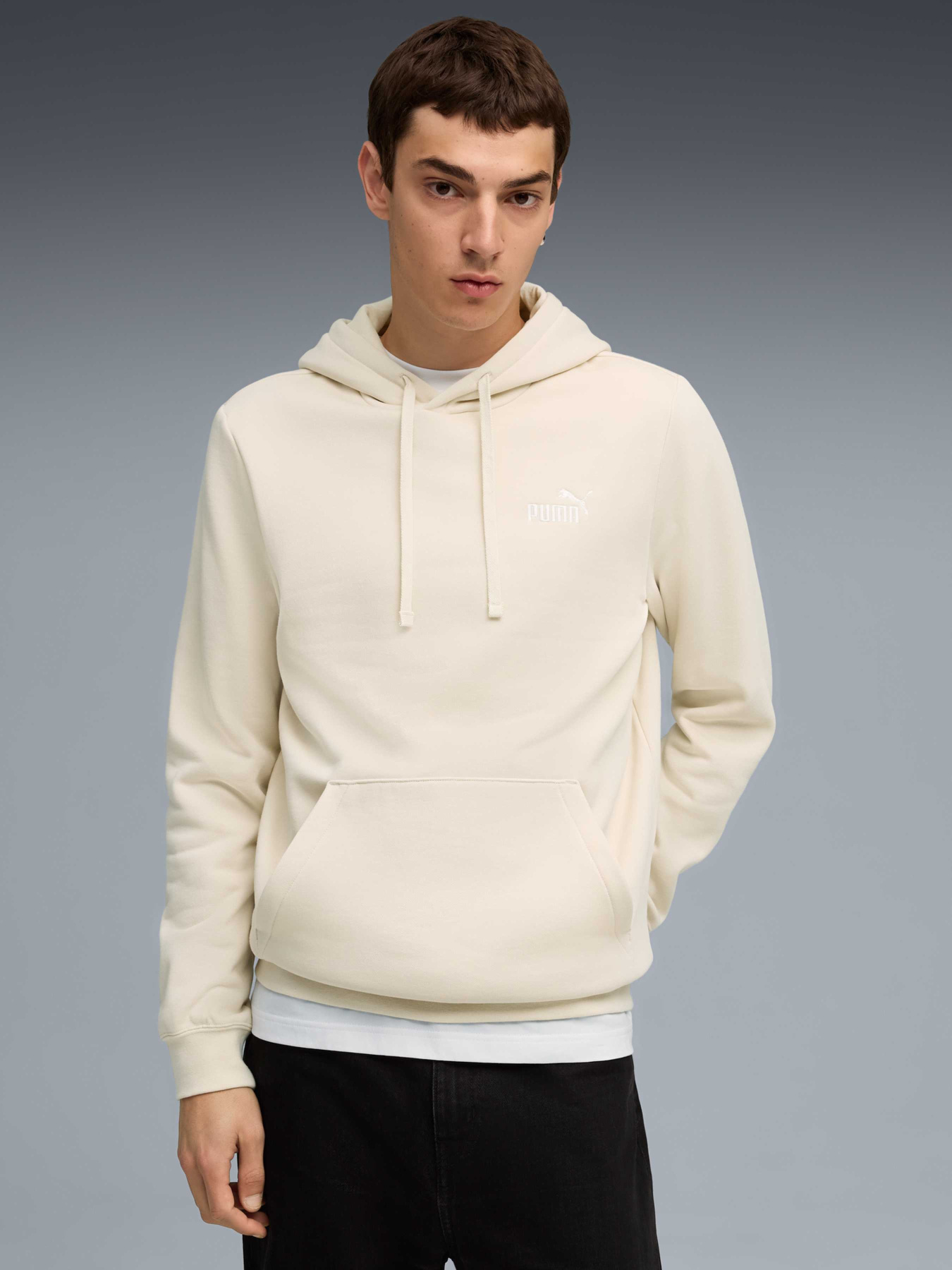 Худи PUMA Ess Small No. 1 Logo Hoodie модель 682575 Худи PUMA Ess Small No. 1 Logo Hoodie модель 682575 Фото
