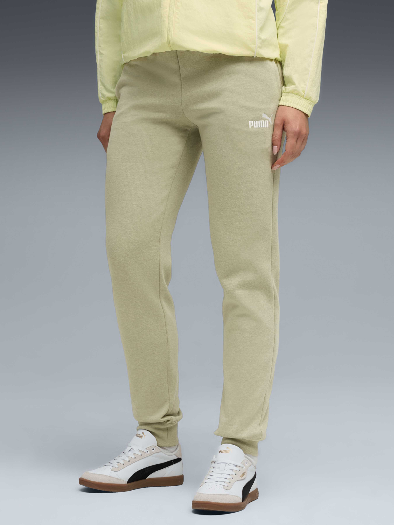 Штани спортивні PUMA Ess No. 1 Logo Sweatpants модель 682449 Фото