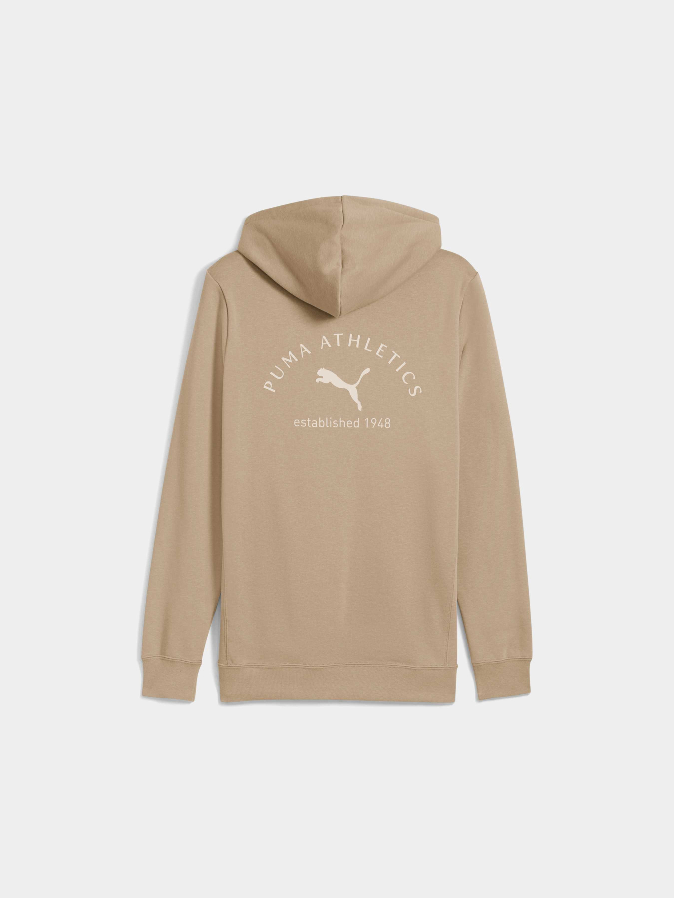 Худи PUMA Class Graphic Hoodie Fl модель 688221 Фото