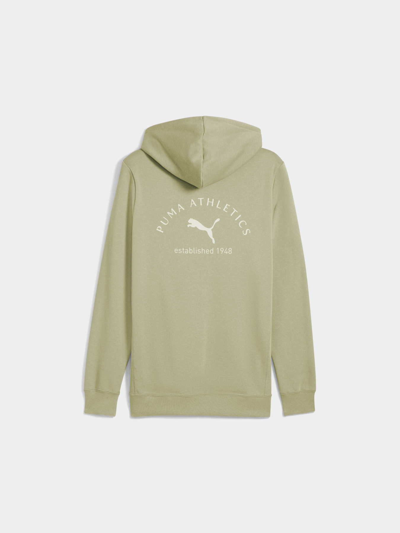 Худи PUMA Class Graphic Hoodie Fl модель 688221 Фото