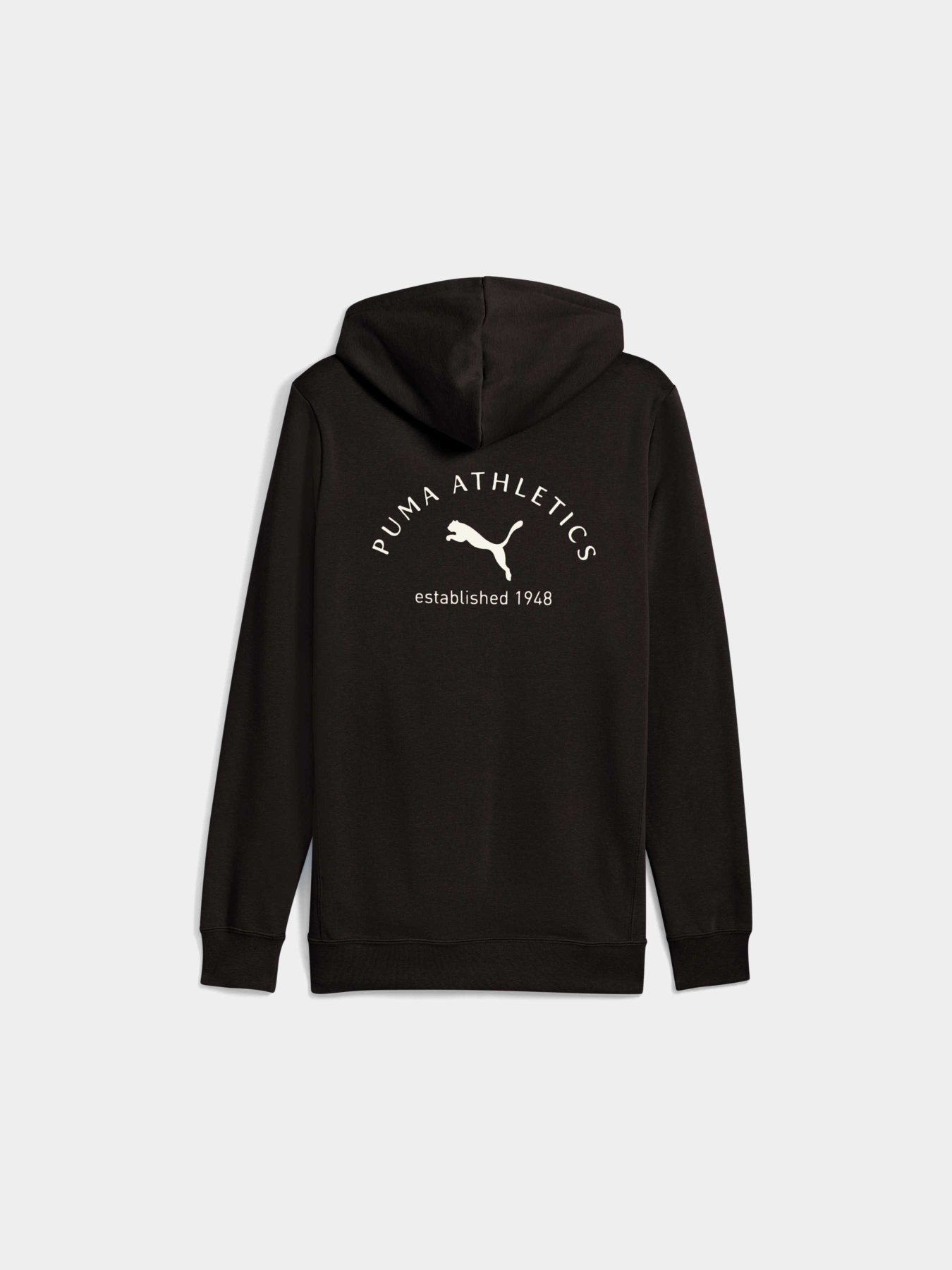 Худи PUMA Class Graphic Hoodie Fl модель 688221 Фото