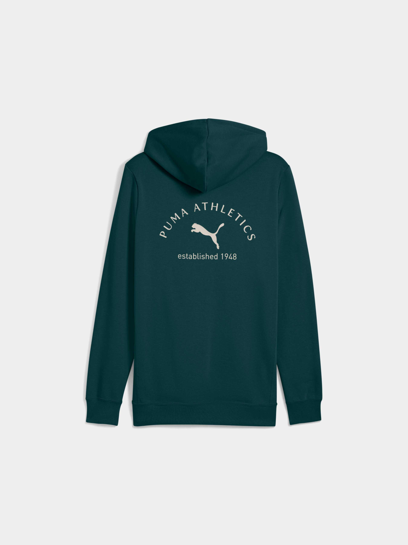 Худи PUMA Class Graphic Hoodie Fl модель 688221 Фото