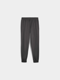 Спортивні штани PUMA Ess Elevated Pants модель 688277 Фото