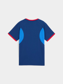 Футболка спортивна PUMA Neymarjr Playmaker Jersey Jr модель 660315 Фото