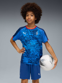 Спортивна футболка PUMA Neymarjr Playmaker Jersey Jr модель 660315 Фото