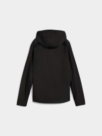 Кофта спортивная PUMA Evostripe Full-zip Hoodie модель 688141 Фото