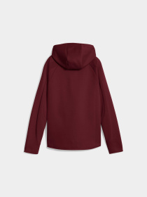 Кофта спортивная PUMA Evostripe Full-zip Hoodie модель 688141 Фото