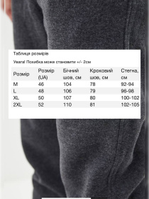 Спортивні штани HiBrand модель Mn0661 Спортивні штани HiBrand модель Mn0661 Фото