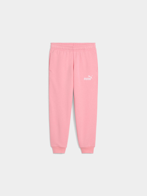 Штаны спортивные PUMA Ess Small Logo Sweatpants модель 684934 Фото