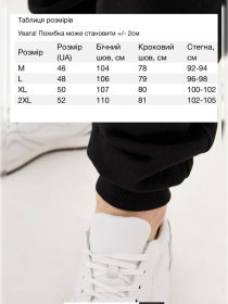 Спортивні штани HiBrand модель Mn0681 Спортивні штани HiBrand модель Mn0681 Фото