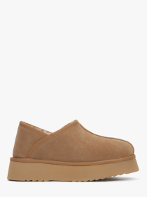 Черевики та чоботи Estro модель 685-18-391 Черевики та чоботи Estro модель 685-18-391 Фото