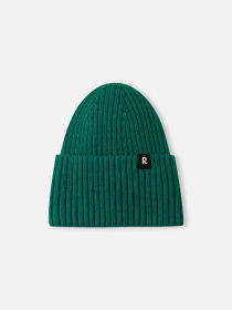 Шапка REIMA Hattara модель 5300057B-89A0 Фото