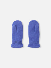 Варежки REIMA Lapanen модель 5300318A-5660 Фото