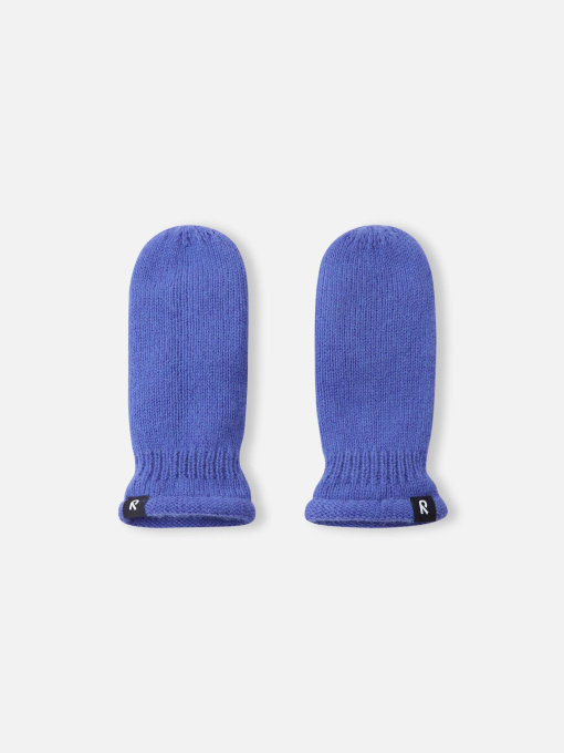 Варежки REIMA Lapanen модель 5300318A-5660 Фото