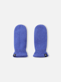 Варежки REIMA Lapanen модель 5300318A-5660 Фото