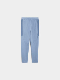 Штаны спортивные PUMA Evostripe Pants Dk модель 688864 Фото