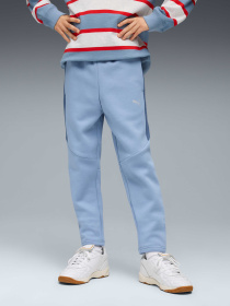 Штаны спортивные PUMA Evostripe Pants Dk модель 688864 Фото