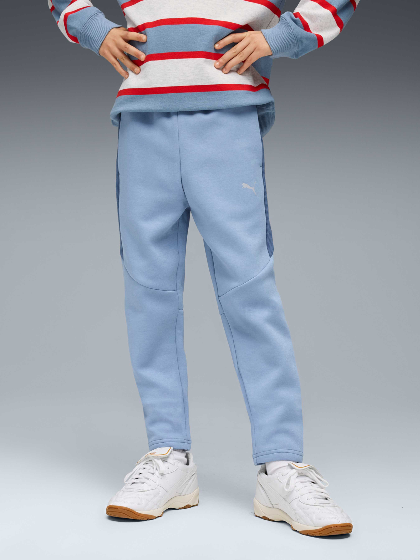 Штаны спортивные PUMA Evostripe Pants Dk модель 688864 Фото