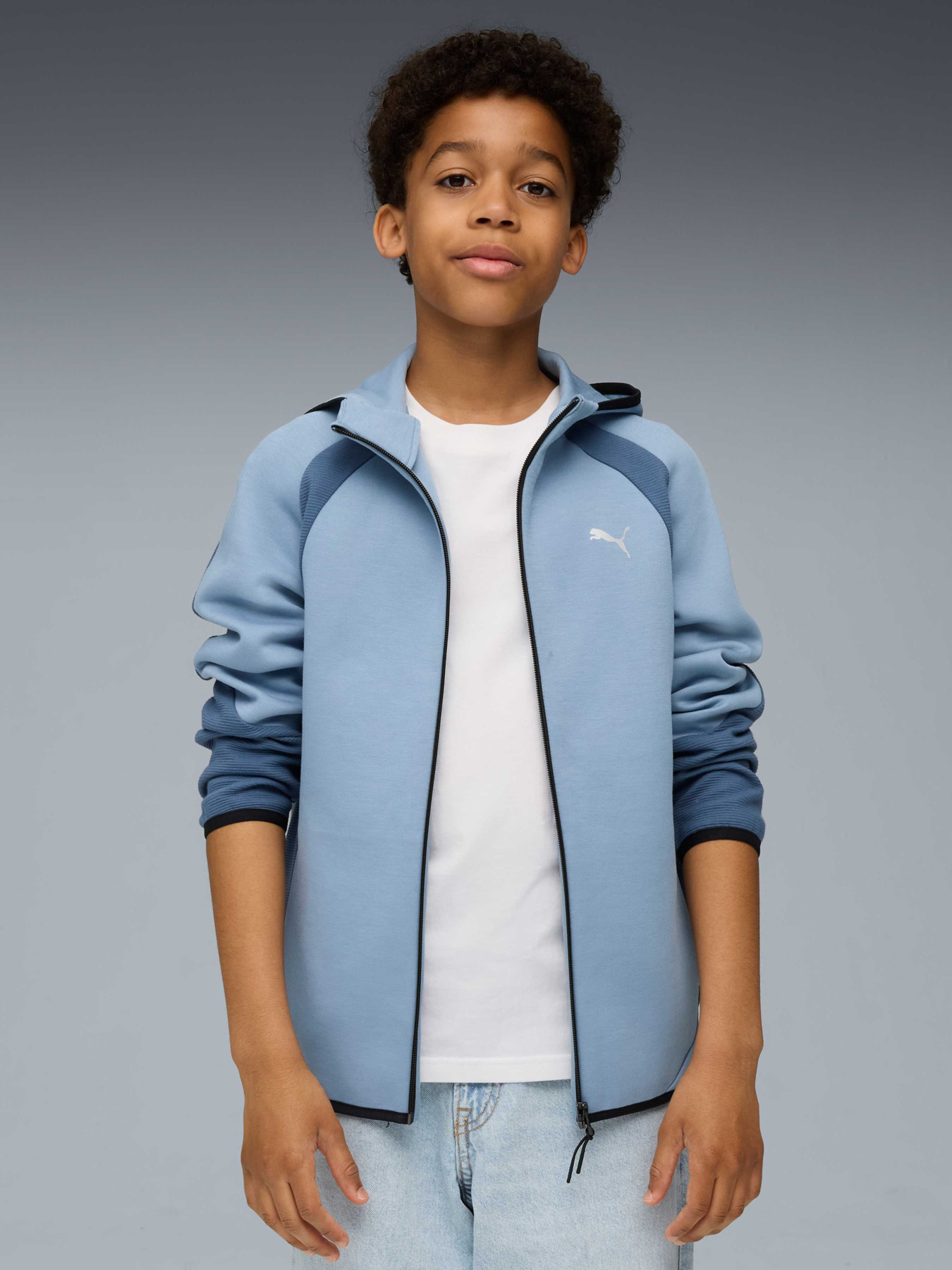 Кофта PUMA Evostripe Full-zip Hoodie Модель 688863 Фото