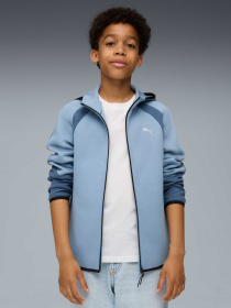 Кофта PUMA Evostripe Full-zip Hoodie модель 688863 Кофта PUMA Evostripe Full-zip Hoodie модель 688863 Фото