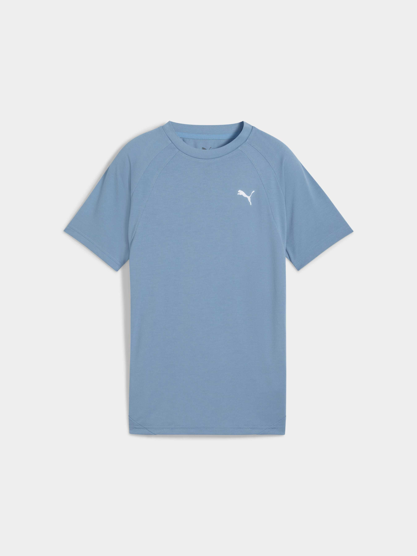 Футболка PUMA Evostripe Tee модель 688862 Фото