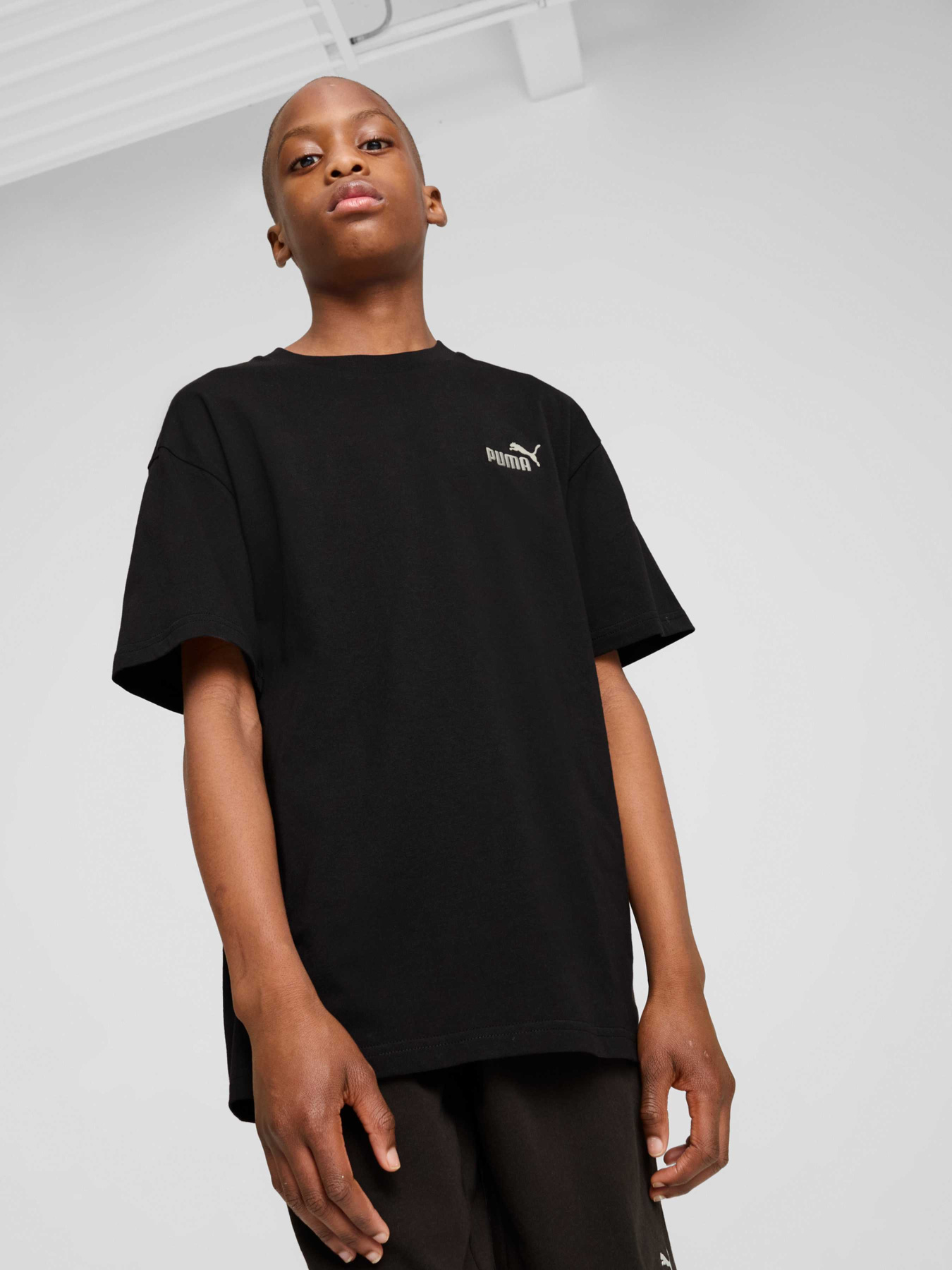 Футболка PUMA Ess Small No. 1 Logo Tee модель 684920 Фото