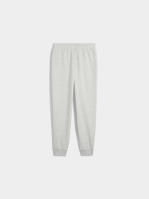 Штаны спортивные PUMA Ess Sweatpants модель 682466 Фото