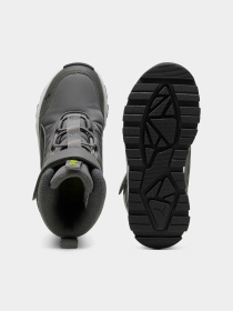 Сапоги дутики PUMA Evolve Boot Ac+ Ps модель 392645 Фото