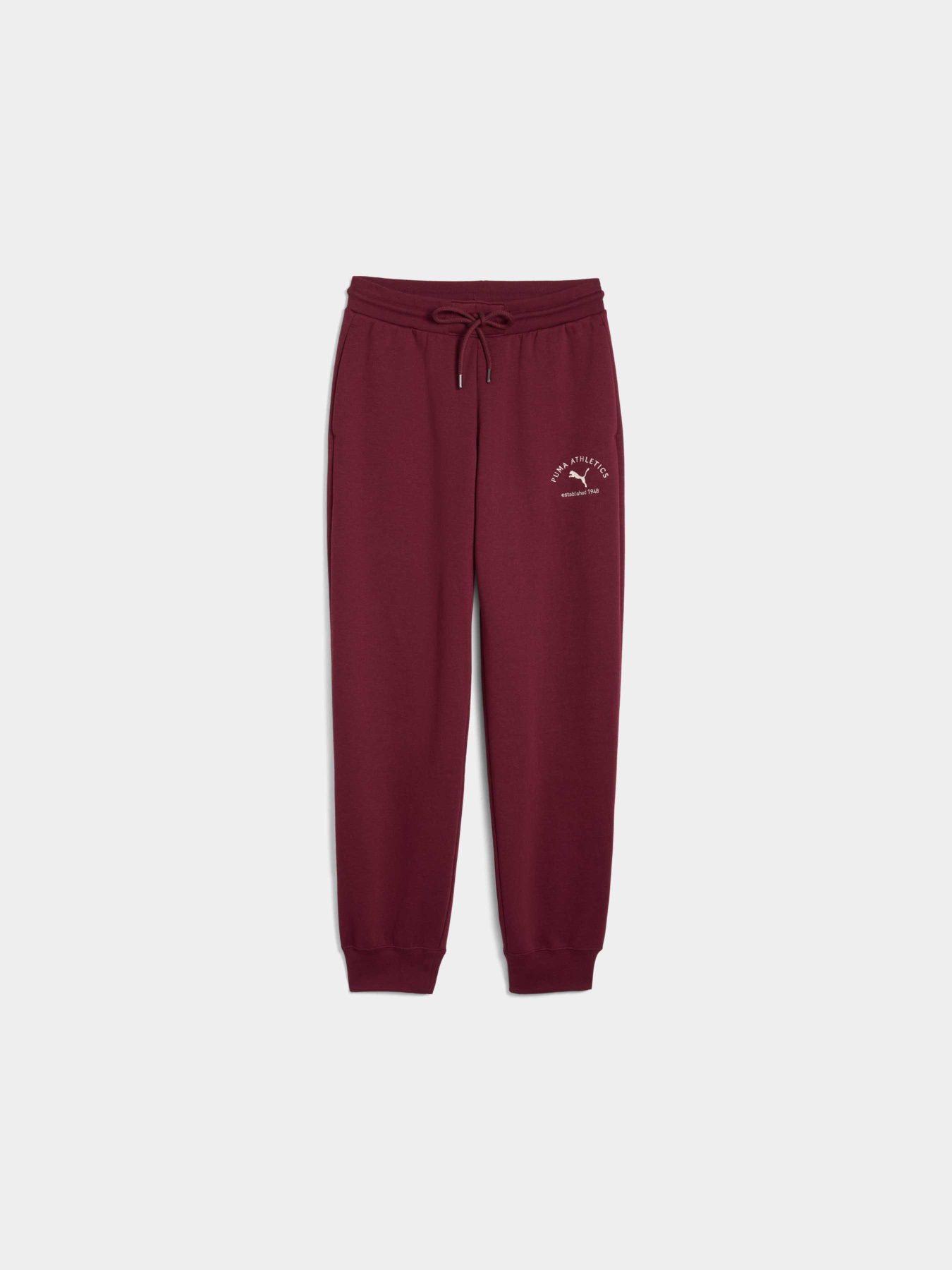 Штаны спортивные PUMA Class Sweatpants модель 688136 Фото